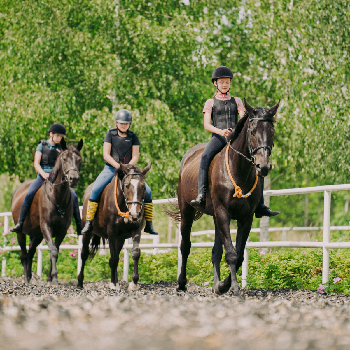 oboz-letni-ze-szczecina-konny-czaplinek-2025-9 oboz-letni-ze-szczecina-konny-czaplinek-2025-9