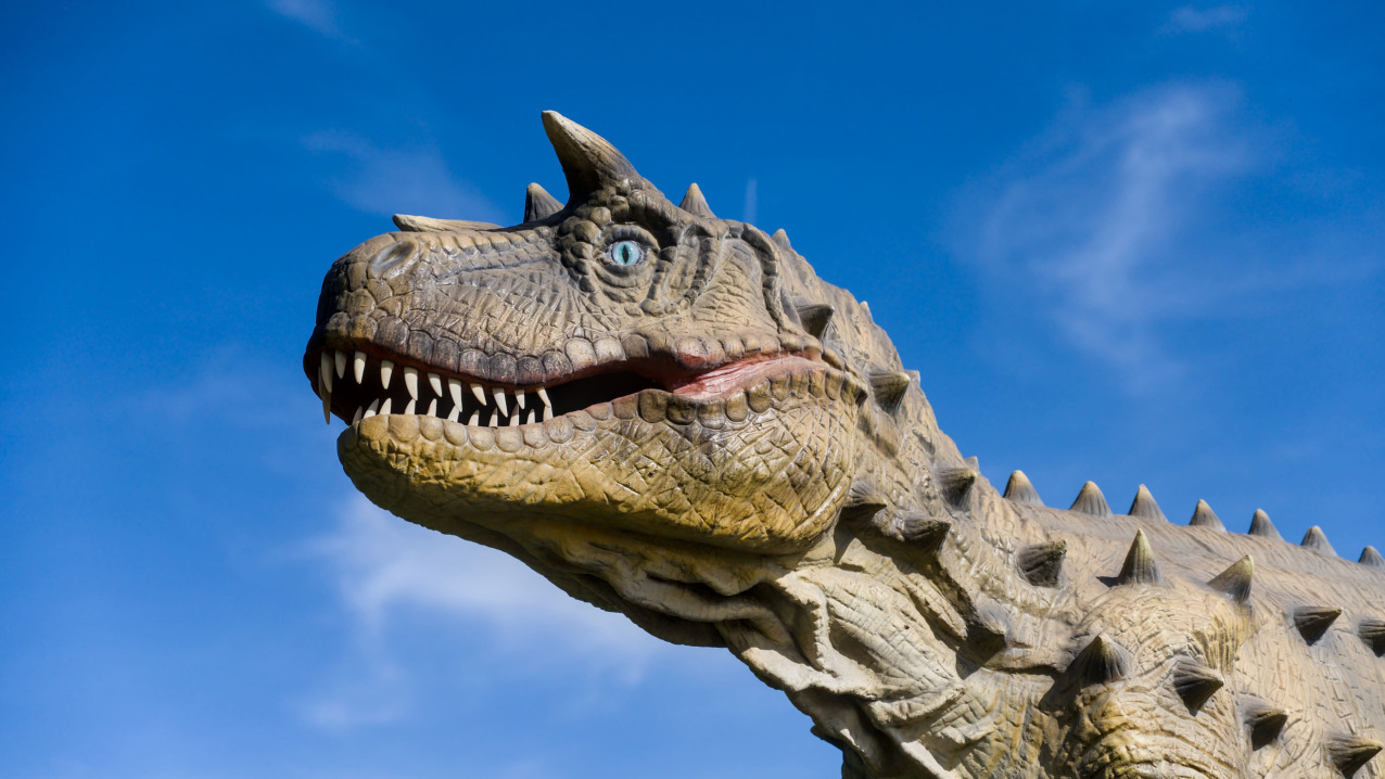 Park Dinozaurów Wrzosowo – wycieczka szkolna – 1 dzień